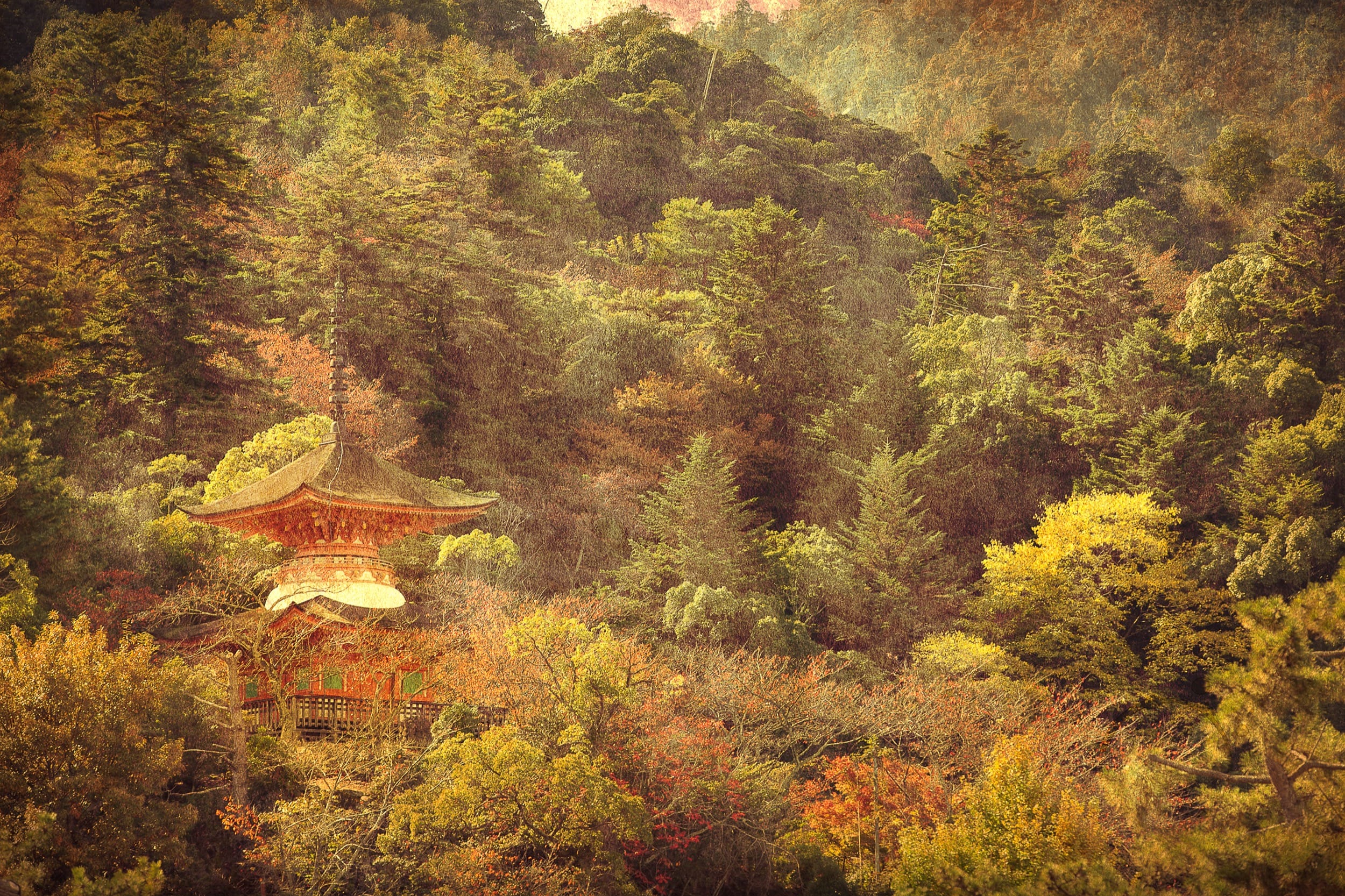Miyajima Temple In The Trees