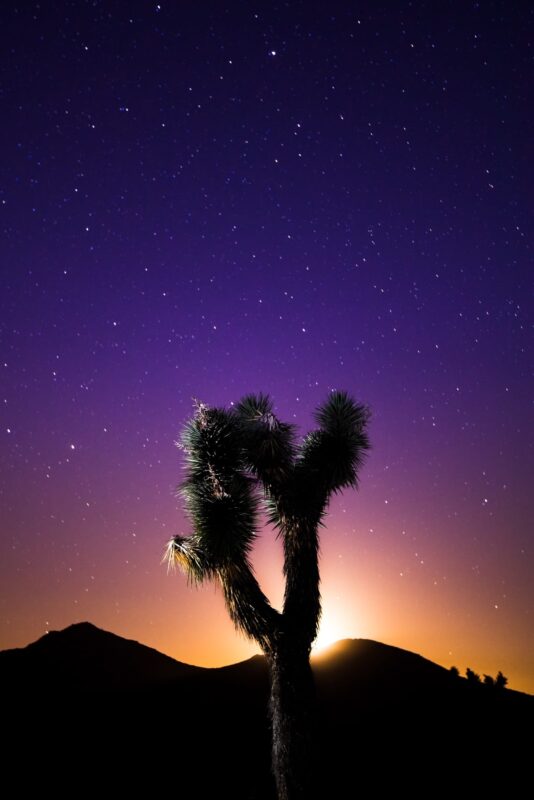 New Release – Last Light