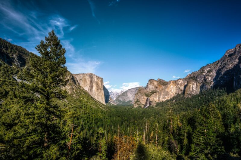 The Great Yosemite Valley