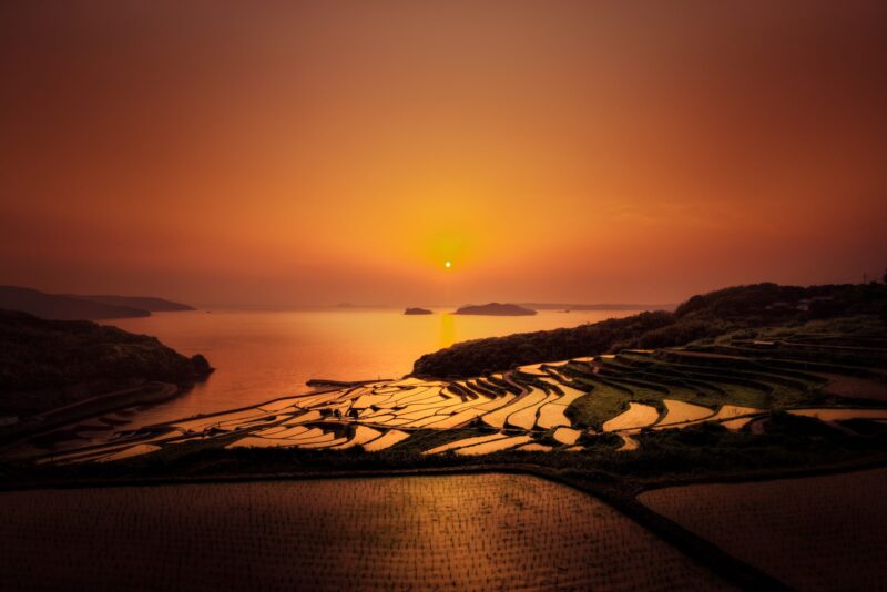 The Golden Rice Terraces