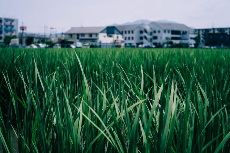 A Ride Through Fukuoka Japan