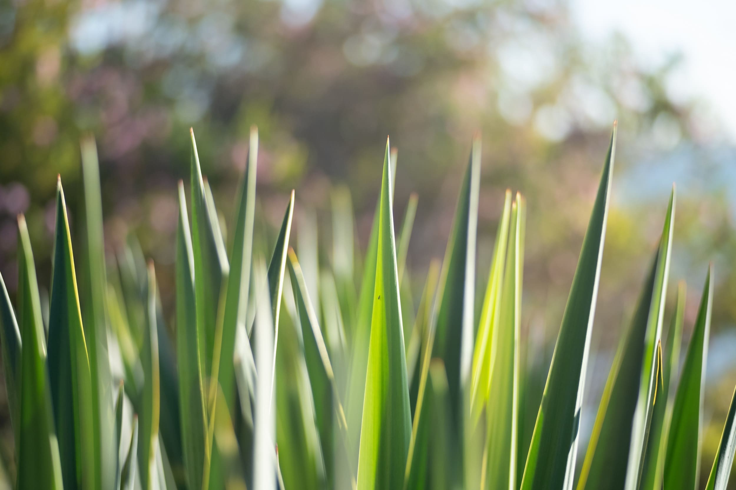 Bokeh Sample
