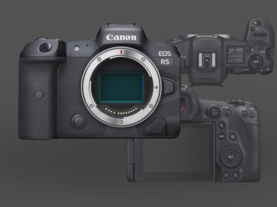 Canon R5 Mark I Accessories