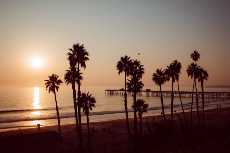 Canon R6 Impressions – It’s Just A Ton Of Fun