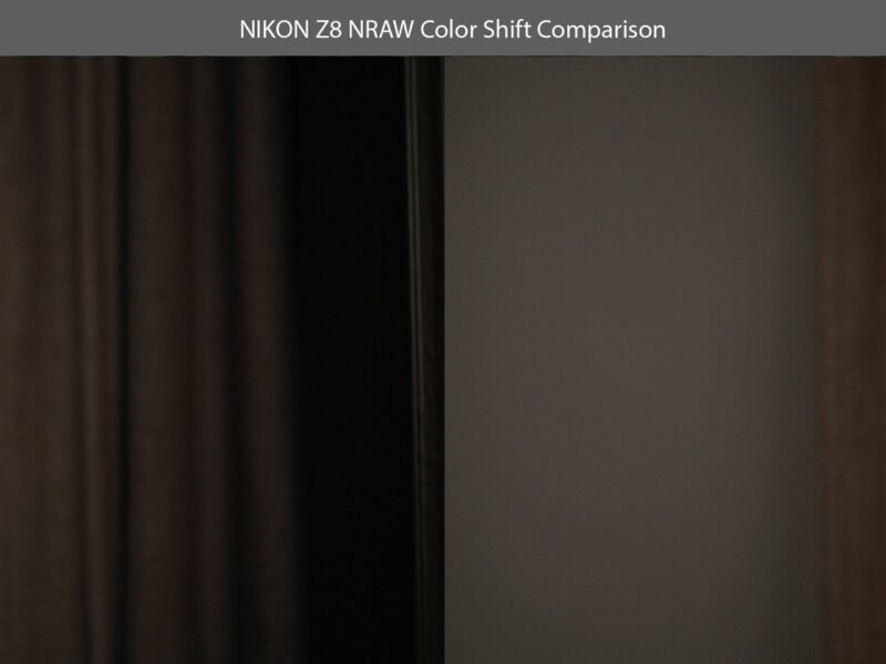 Nikon Z8 Color Shifts When Shooting 4K24p NRAW | Alik Griffin