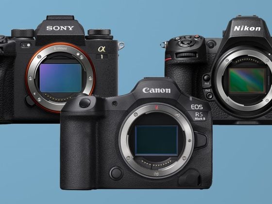 Canon R5 II vs Sony A1 vs Nikon Z8