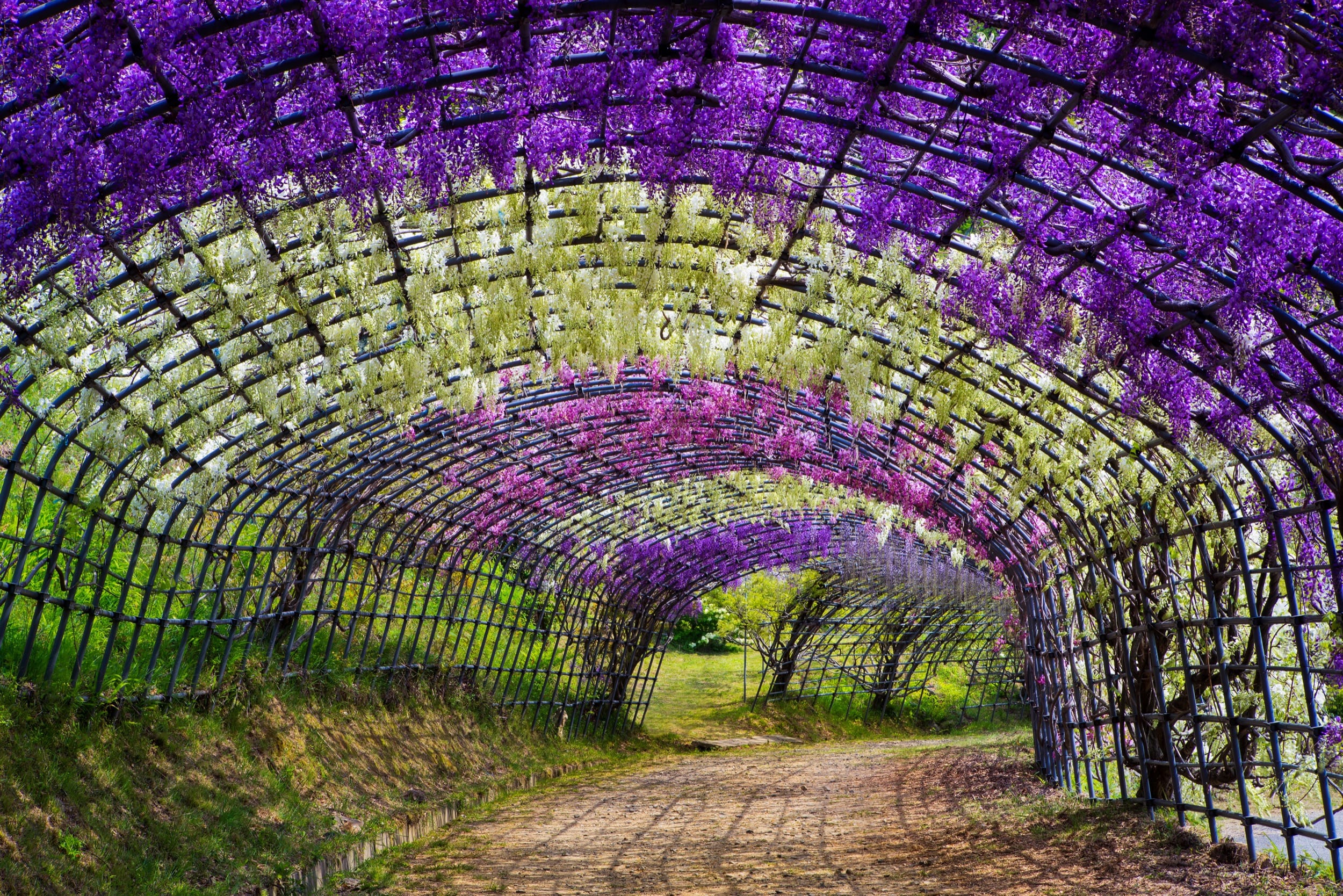 Kawachi Fuji Garden
