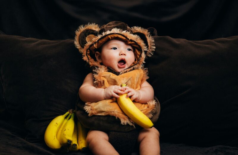 The Monkey Baby And The New Year