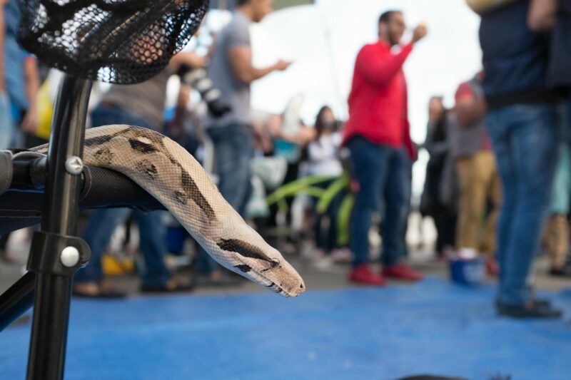 Iridient vs Lightroom – Fuji Film Simulators