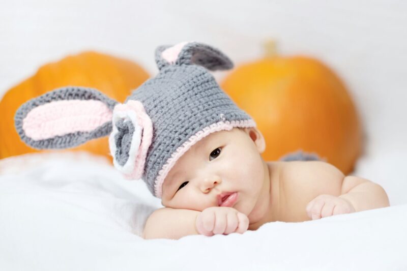 A Season With Photography