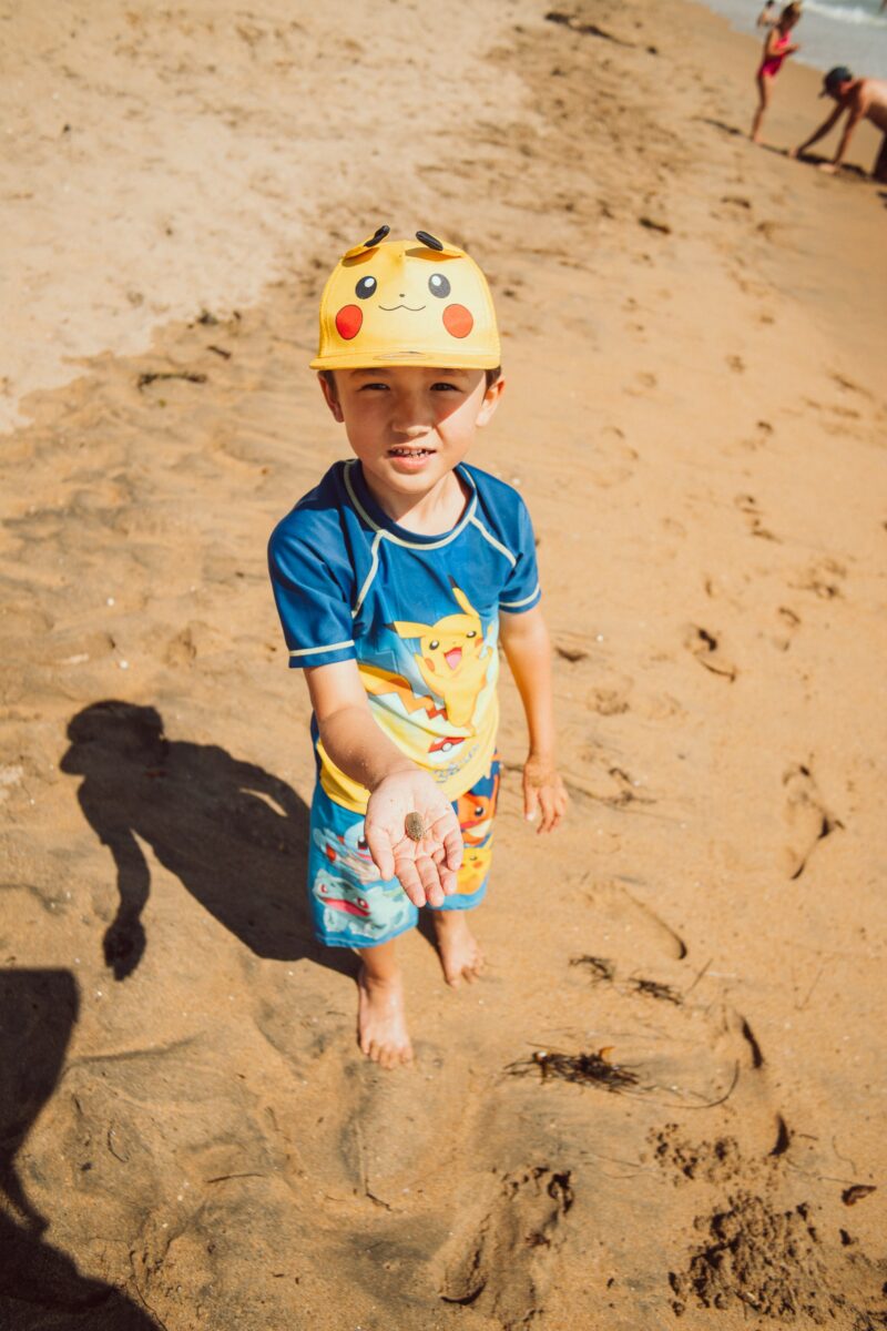 Sand Crab Hunter