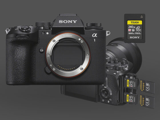 [グラス]Nikon D500 D500｜デジチューター - サポート | ニコンイメージング