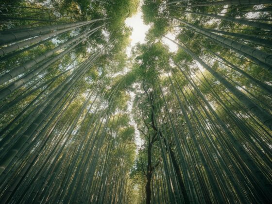 Viltrox 9mm f2.8 Air Review