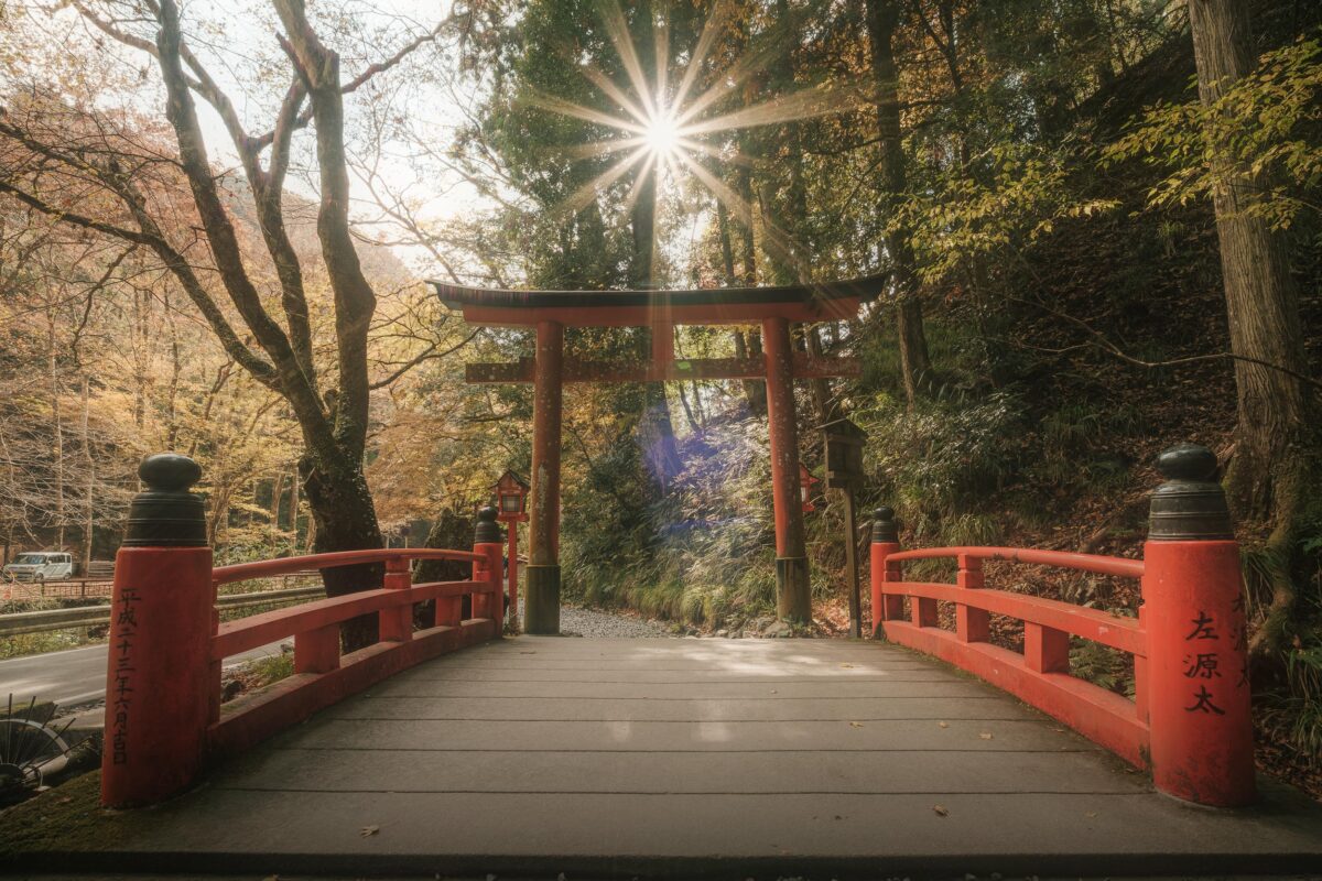 Kifune Shrine Sun Stars