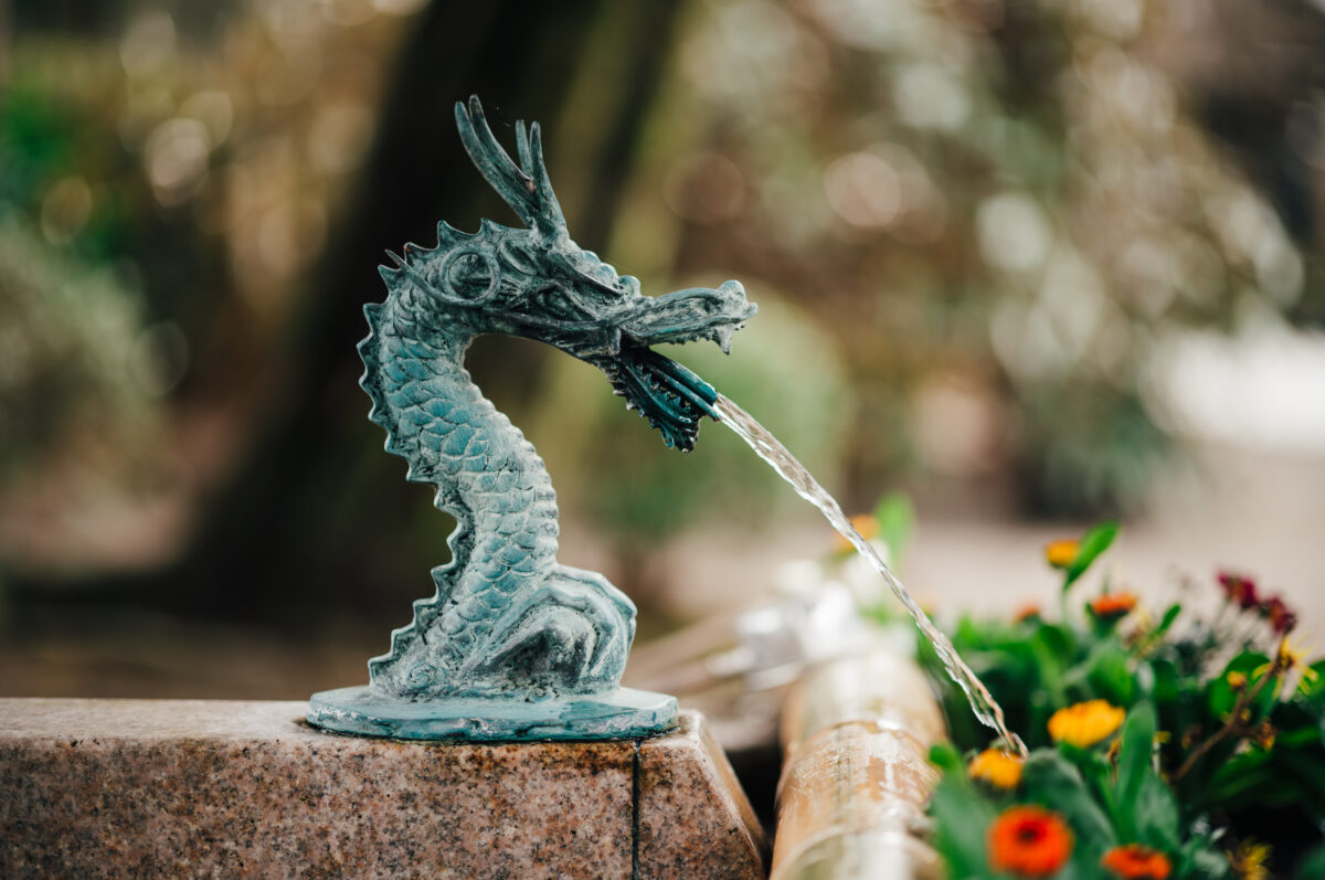 Dragon Bokeh
