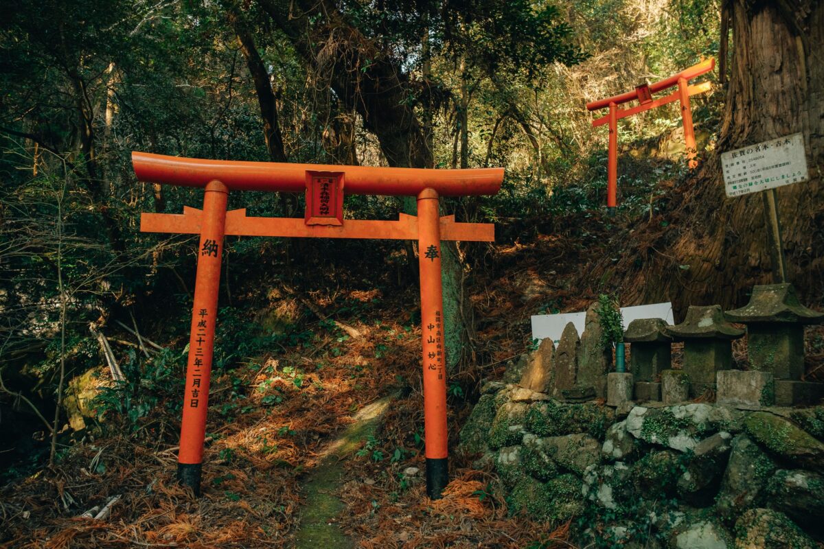 Torii Woods