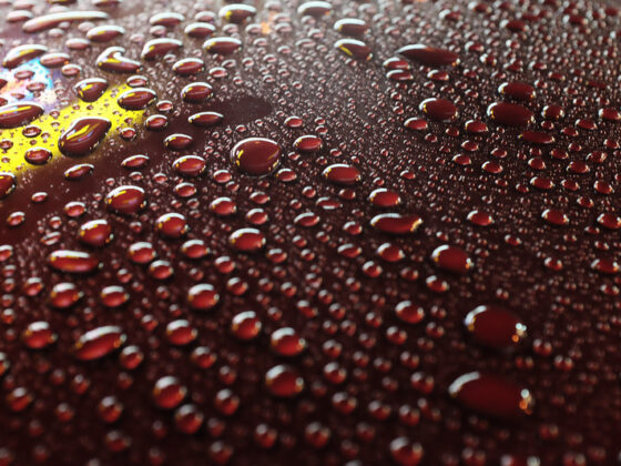 Classic Chrome Raw vs JPG