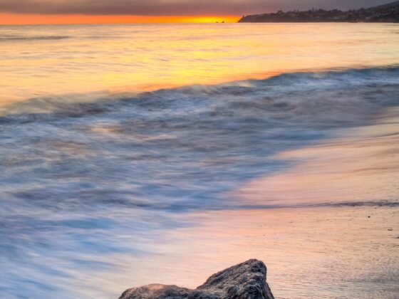 Shores of Laguna Beach