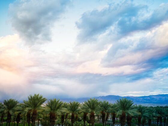 Palm Springs Sunset