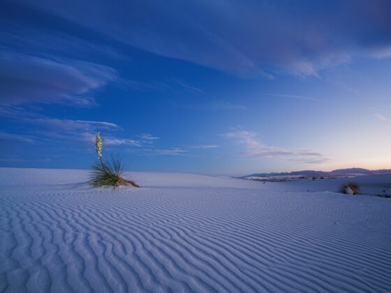 White Sands New Mexico After Dark