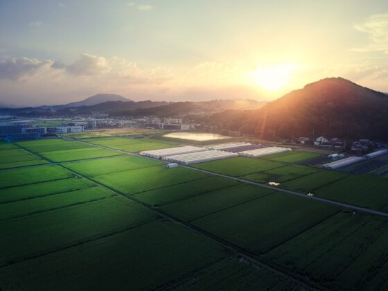 HDR DJI Spark Fukuoka Japan