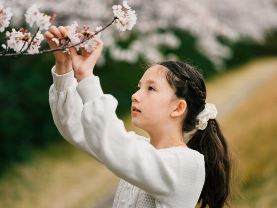 Kalina Picking Sakura