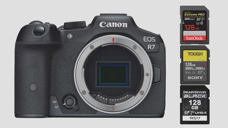 Canon R7 Memory Cards