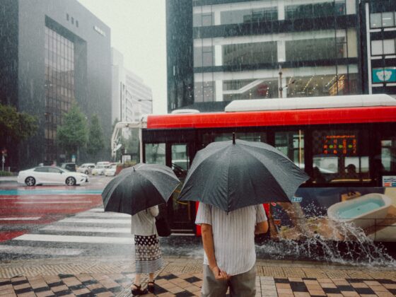 Tiffen Glimmer Glass Filter Sample Image