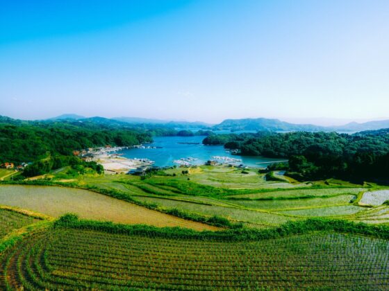 Japan Southern Rice Fields