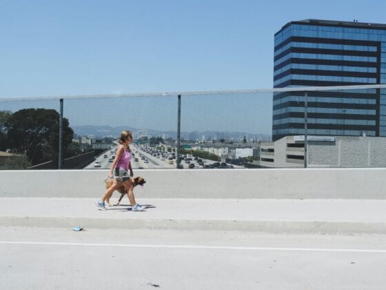 Olympus EM5 ii Street Photo