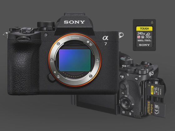 Sony A7V Memory Cards