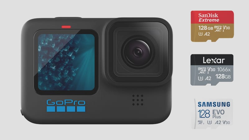 GoPro 11 Black Memory Cards