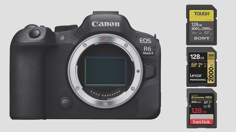 Must-Have Canon R6 Mark II Accessories | Alik Griffin