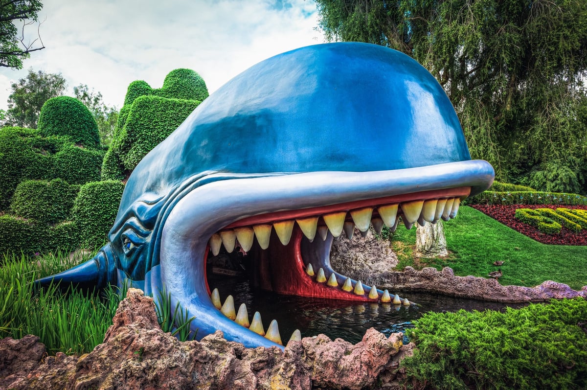 Using your Camera’s Custom Modes