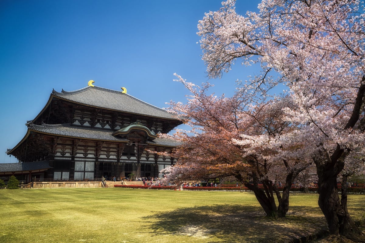 Nara Japan And The Toji Temple