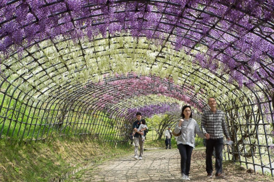 Removing People from photos