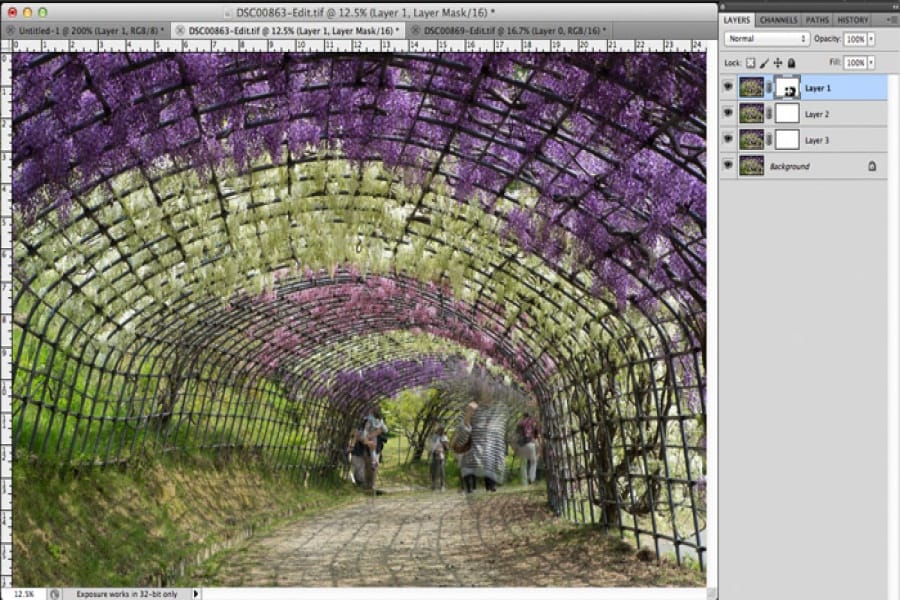 Kawachi Fuji Processing Photo