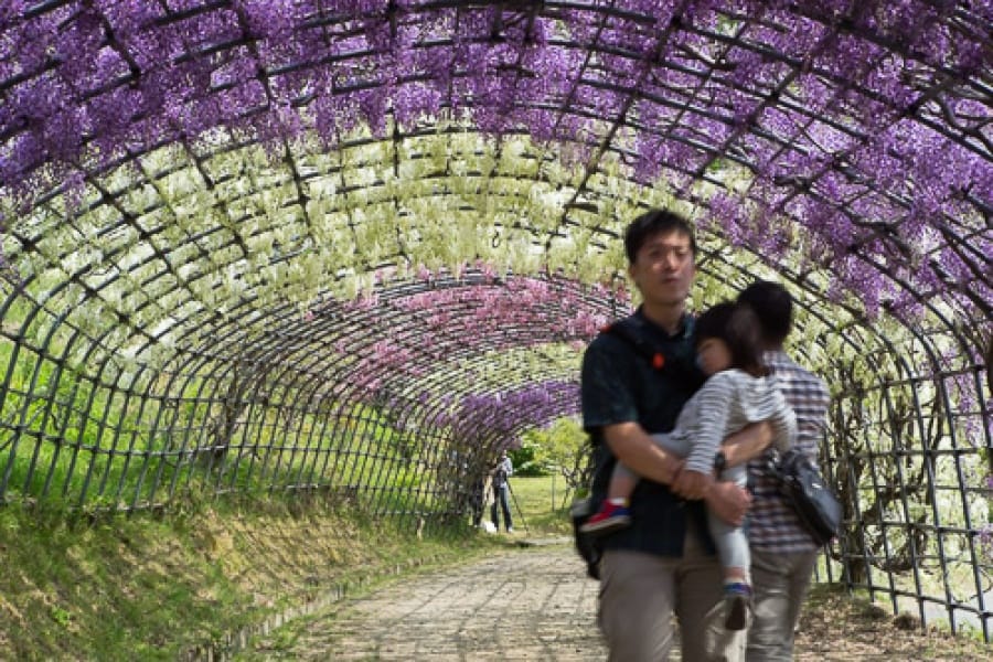 Removing People from photos