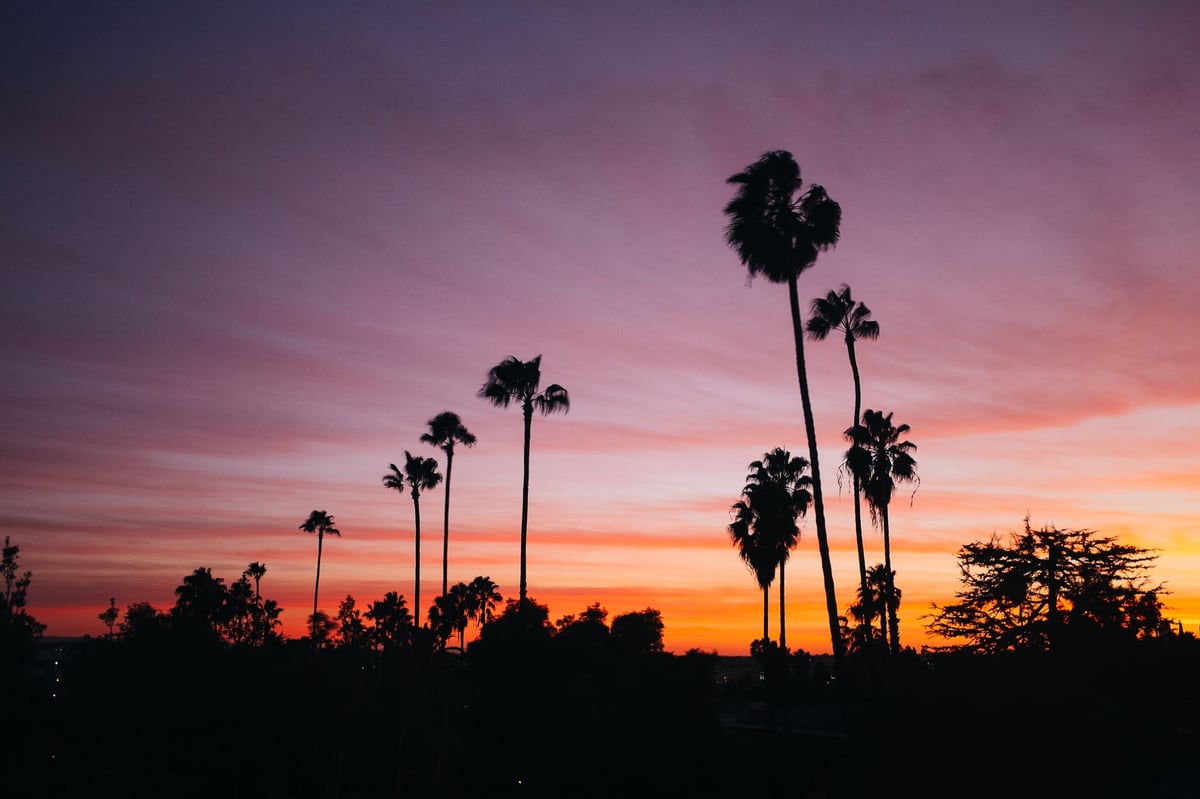 Fujifilm X100T Sample of Palm Trees at Sunset