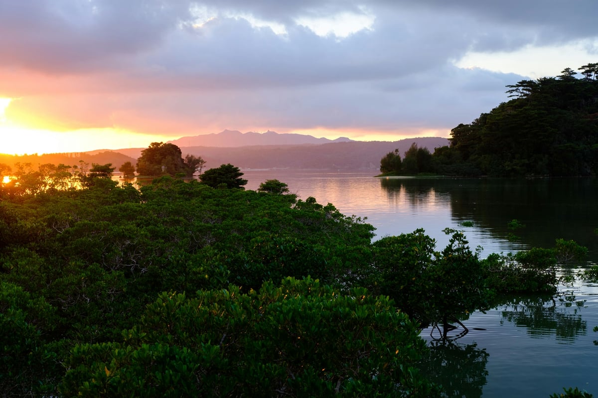 Fujinon 35mm f2 Flaring Sample