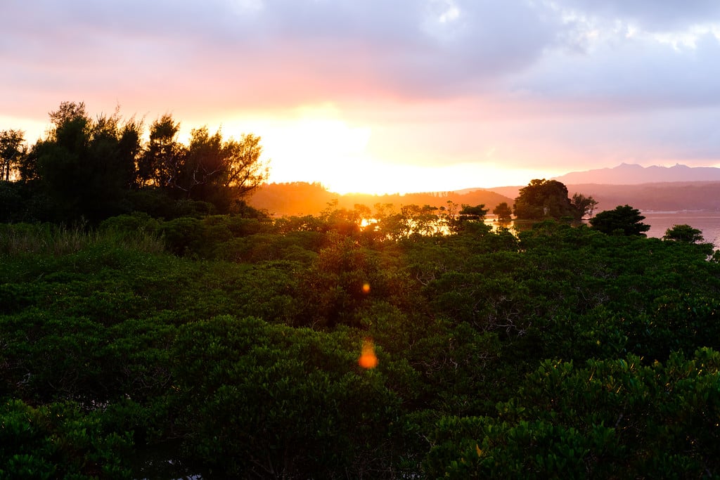 Fujinon 35mm f2 Flaring Sample