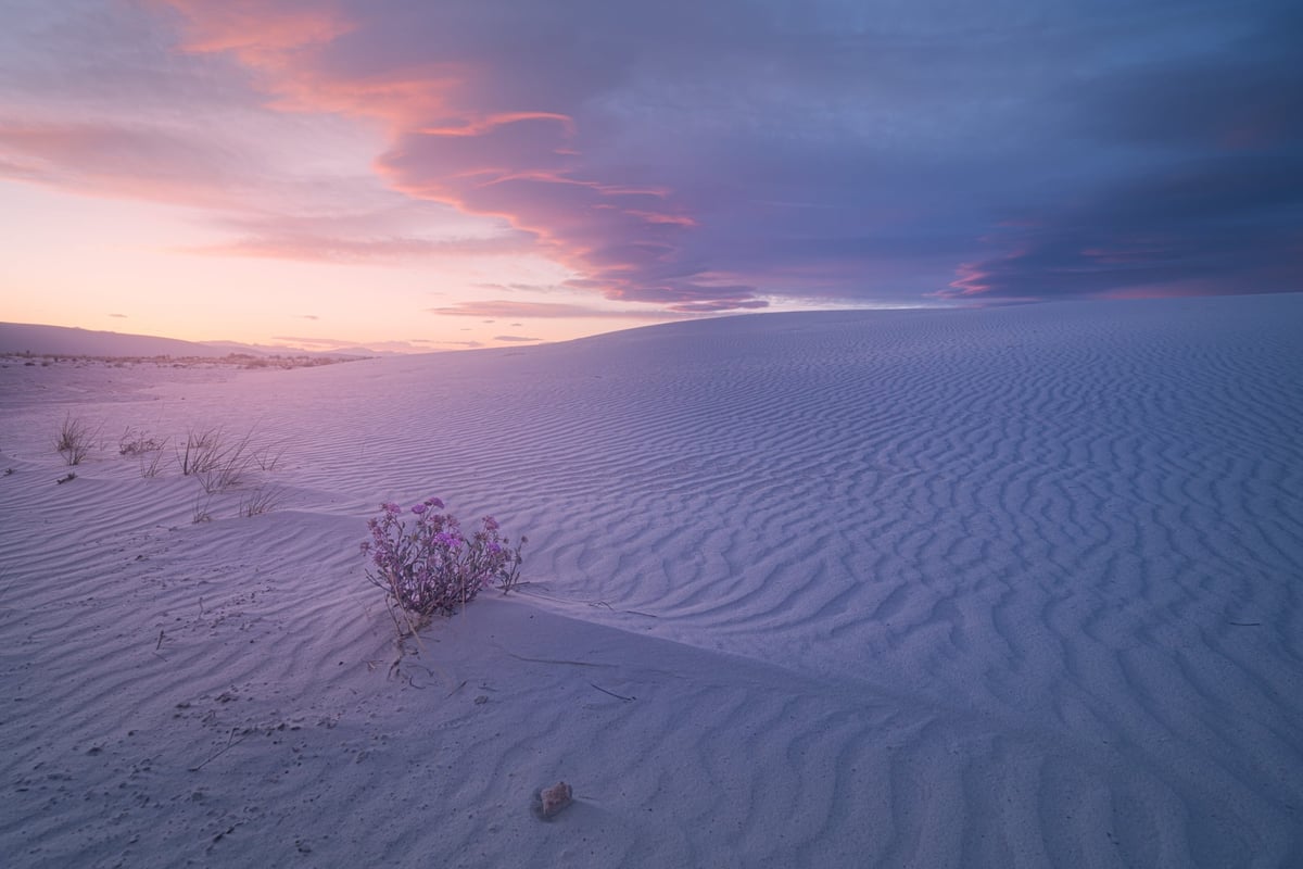 White Sands New Mexico Fine Art Landscape Photo