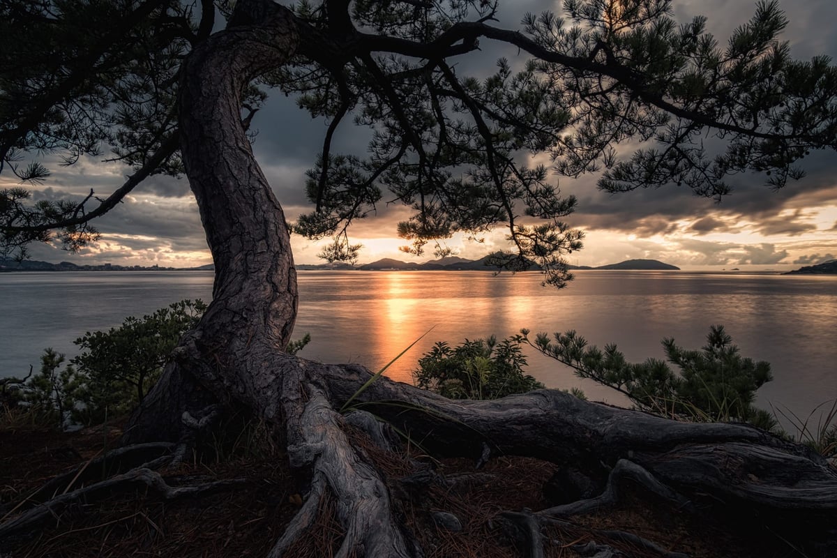 Aurora HDR 2019 Review