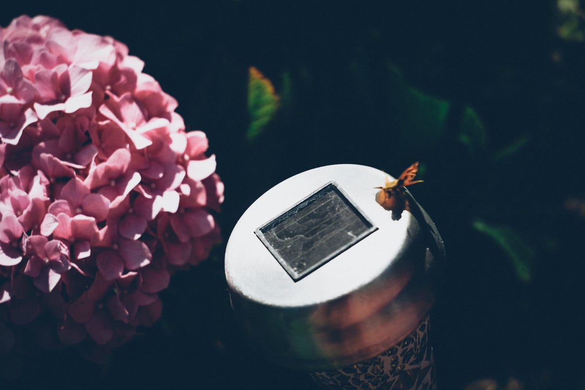 Fujifilm X-T2, Helios 44m-2