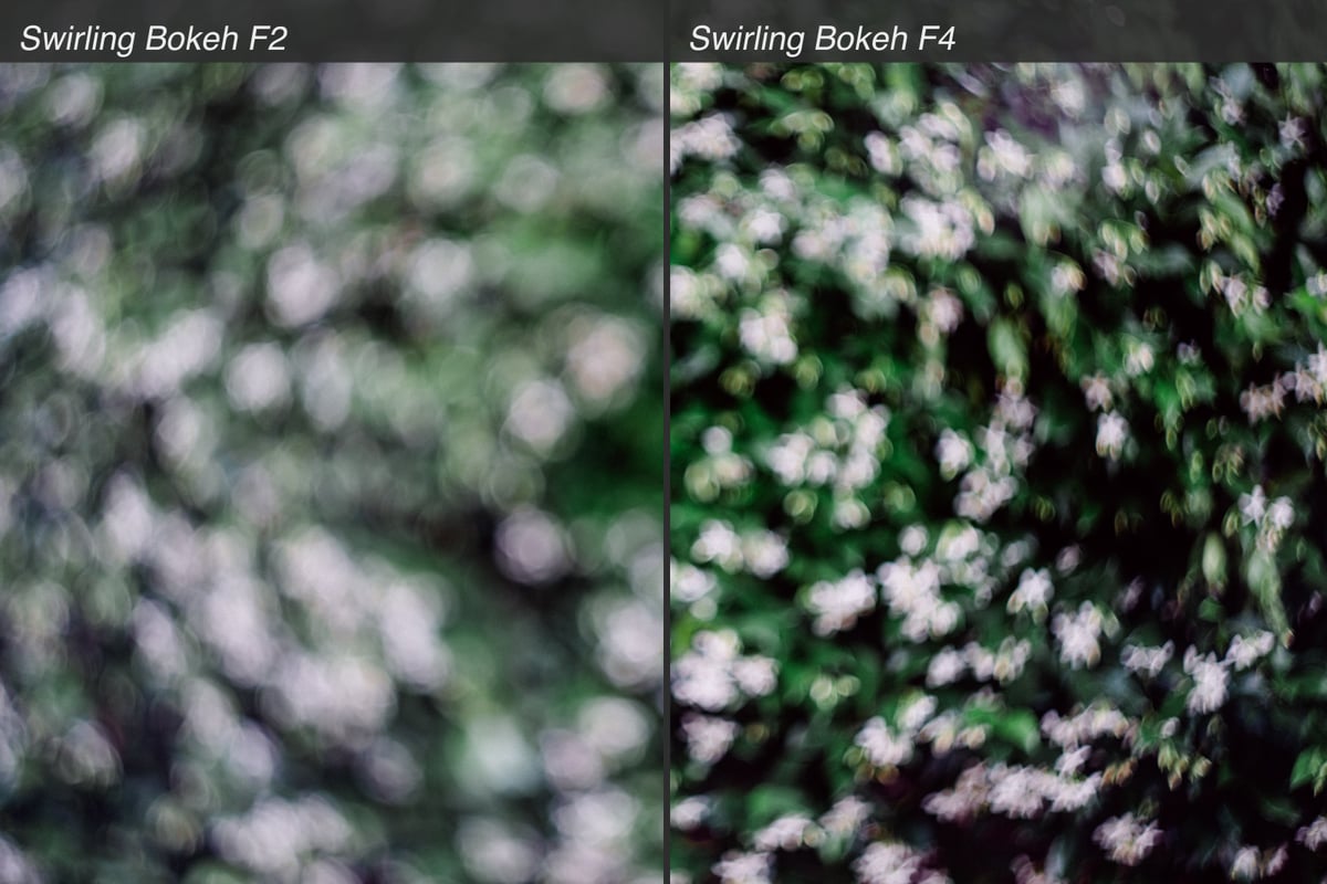 Helios 44-2 Swirling Bokeh Sample.