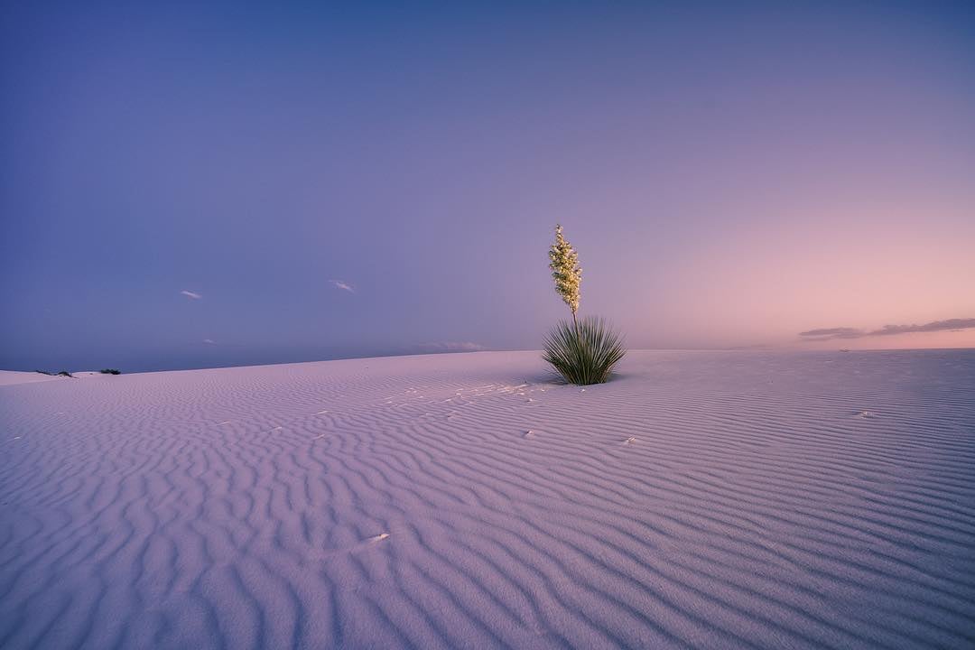 White Sands New Mexico Fine Art Landscape Photo