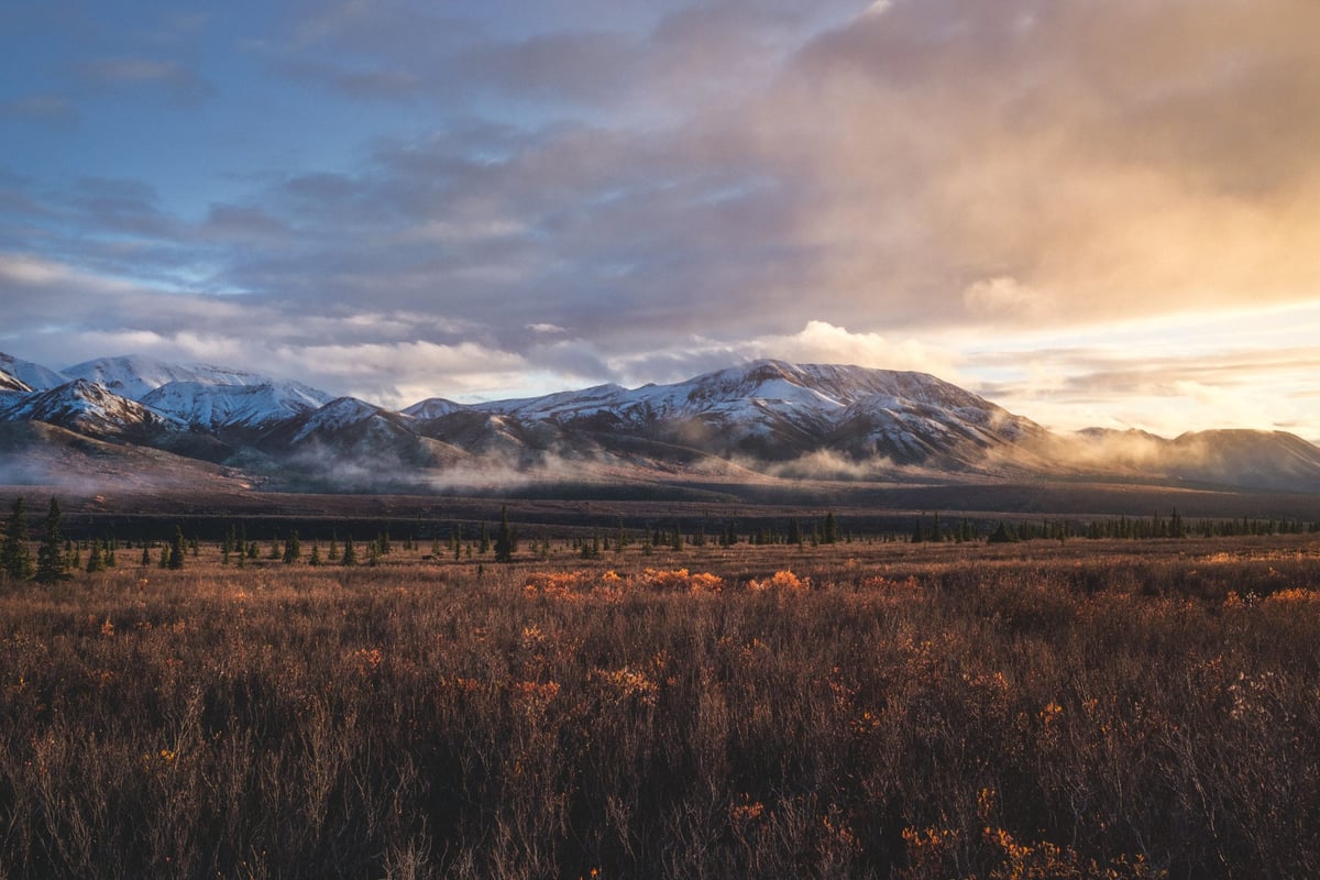 Denali National Park Alaska