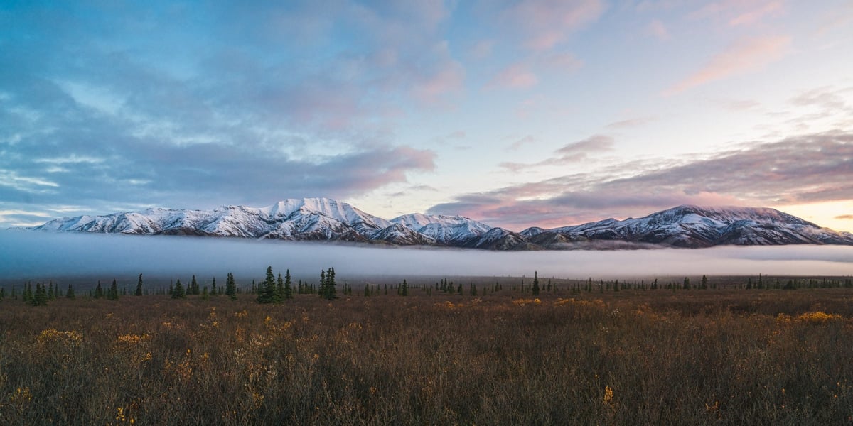 Denali National Park Alaska
