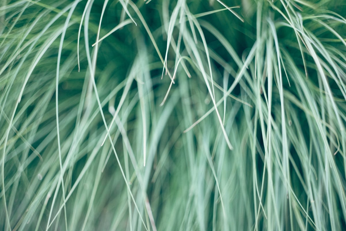 Canon 6D II with the Helios 58mm 44-7