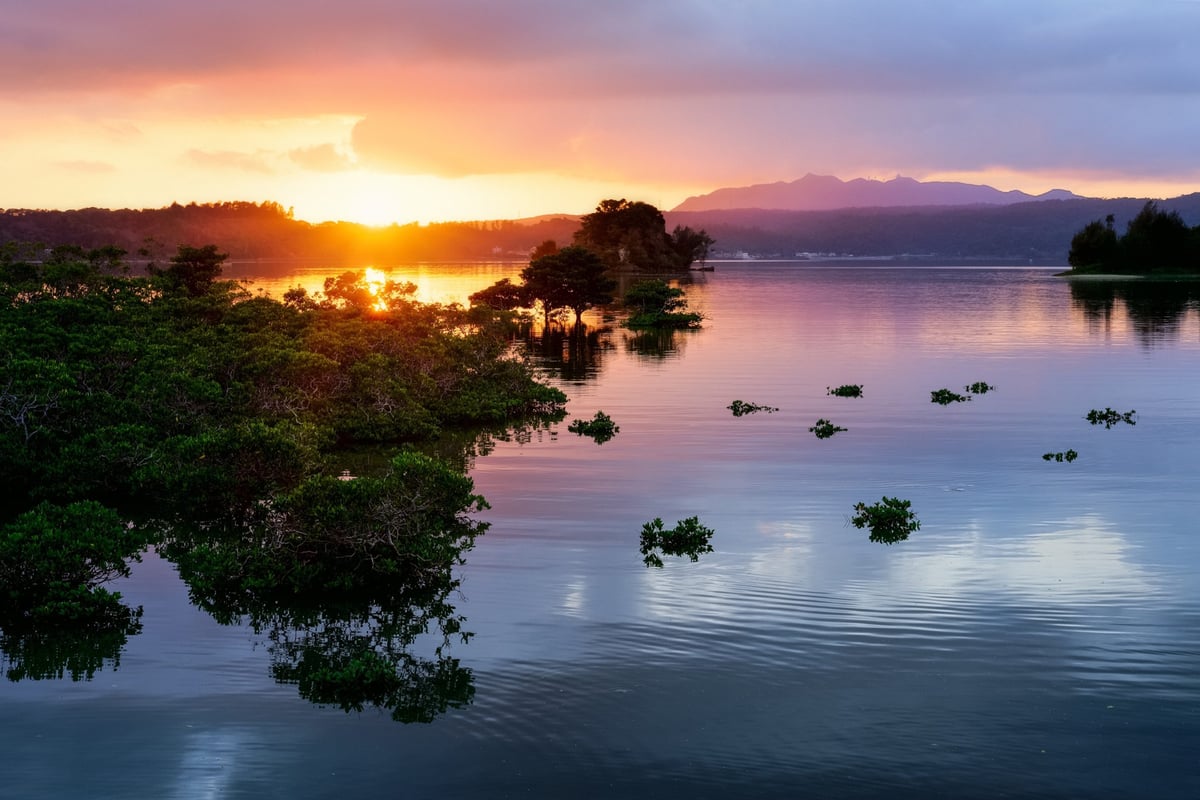 Fujifilm X-Pro 2 Review